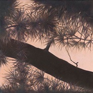 02_cedar-talk-proof-files1