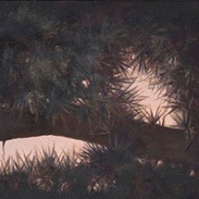 03_cedar-talk-proof-files2