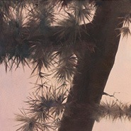 05_cedar-talk-proof-files4