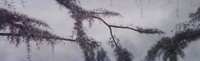 10_cedar-talk-v-proof-files