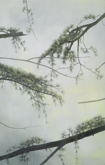 11_in-the-light-of-day